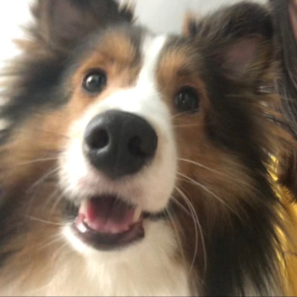 Meet your Posher, Christine - Picture 1 of 1